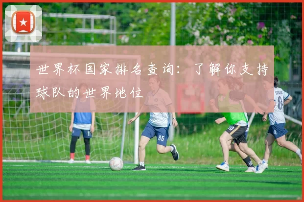 世界杯国家排名查询:了解你支持球队的世界地位