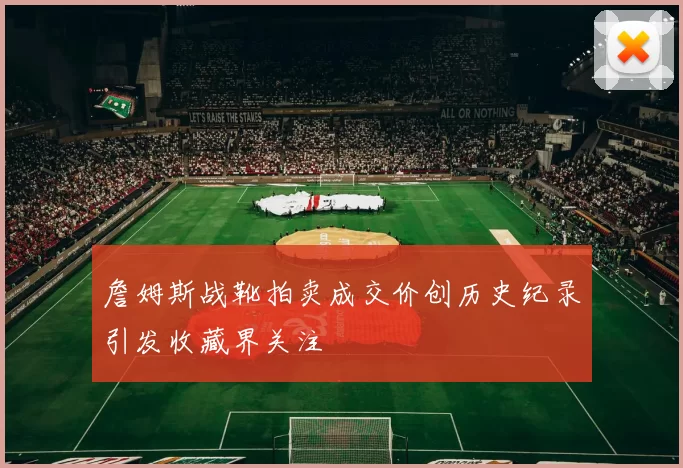 詹姆斯战靴拍卖成交价创历史纪录引发收藏界关注