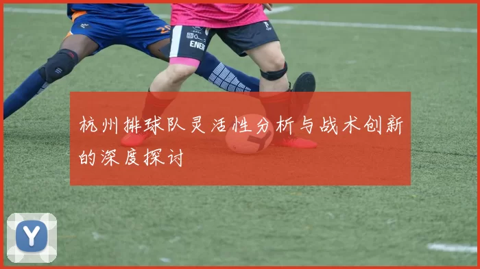 杭州排球队灵活性分析与战术创新的深度探讨