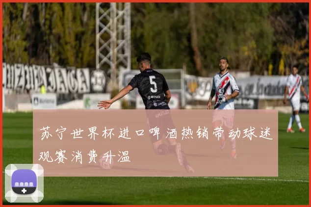 苏宁世界杯进口啤酒热销带动球迷观赛消费升温