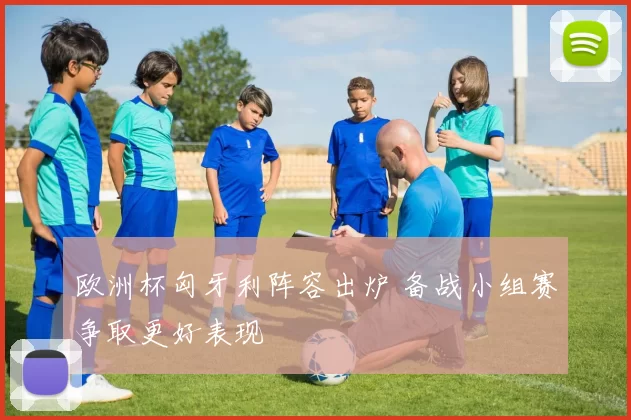 欧洲杯匈牙利阵容出炉 备战小组赛争取更好表现
