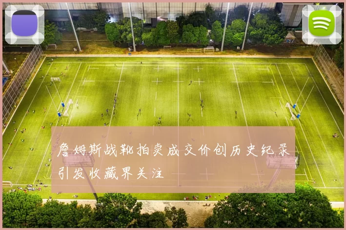 詹姆斯战靴拍卖成交价创历史纪录引发收藏界关注