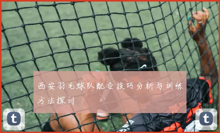 西安羽毛球队配合技巧分析与训练方法探讨