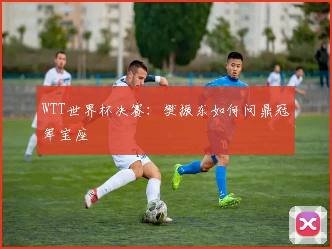 WTT世界杯决赛:樊振东如何问鼎冠军宝座