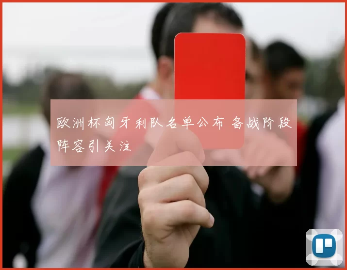 欧洲杯匈牙利队名单公布 备战阶段阵容引关注