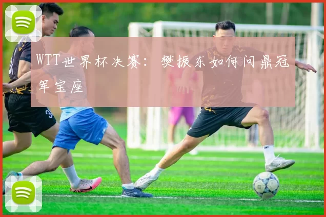 WTT世界杯决赛：樊振东如何问鼎冠军宝座