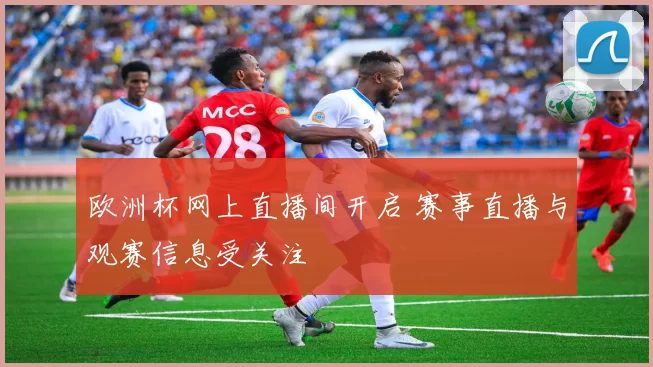 欧洲杯网上直播间开启 赛事直播与观赛信息受关注