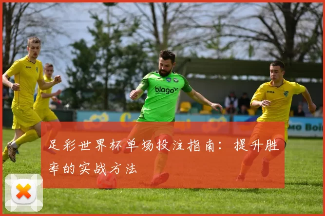 足彩世界杯单场投注指南:提升胜率的实战方法