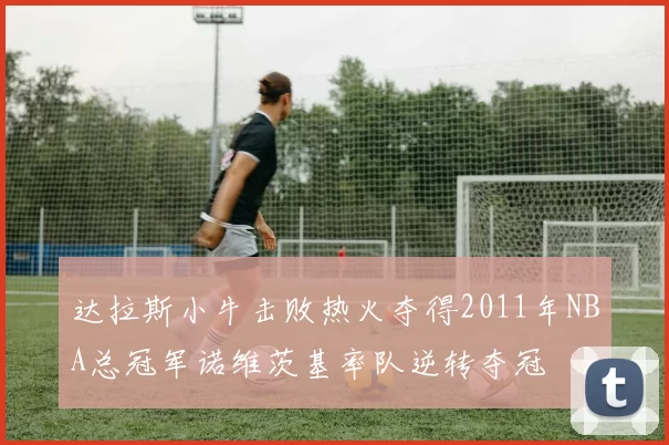 达拉斯小牛击败热火夺得2011年NBA总冠军诺维茨基率队逆转夺冠