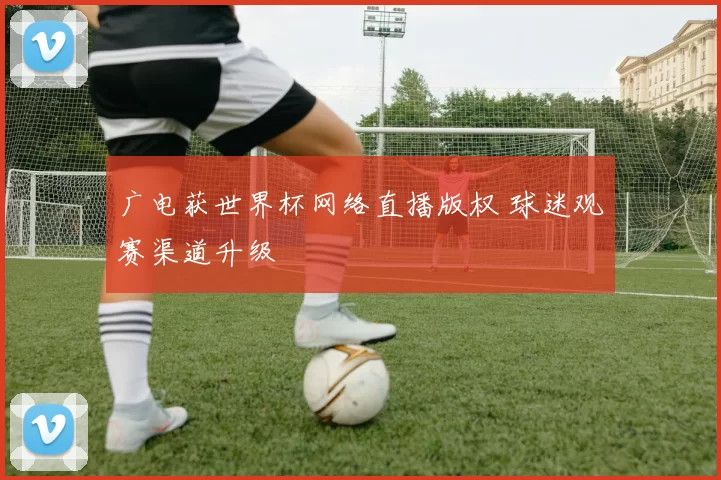 广电获世界杯网络直播版权 球迷观赛渠道升级