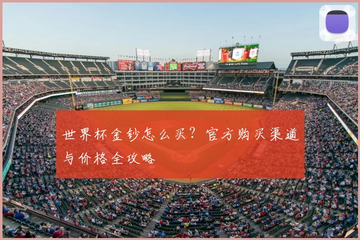 世界杯金钞怎么买?官方购买渠道与价格全攻略