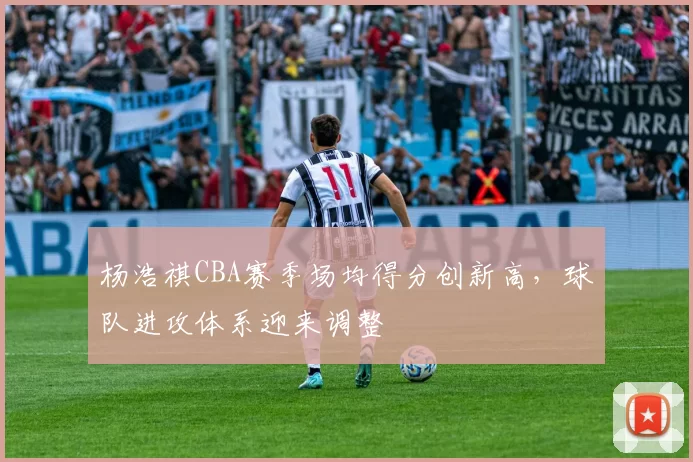 杨浩祺CBA赛季场均得分创新高，球队进攻体系迎来调整