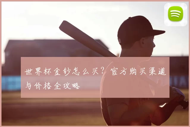 世界杯金钞怎么买?官方购买渠道与价格全攻略