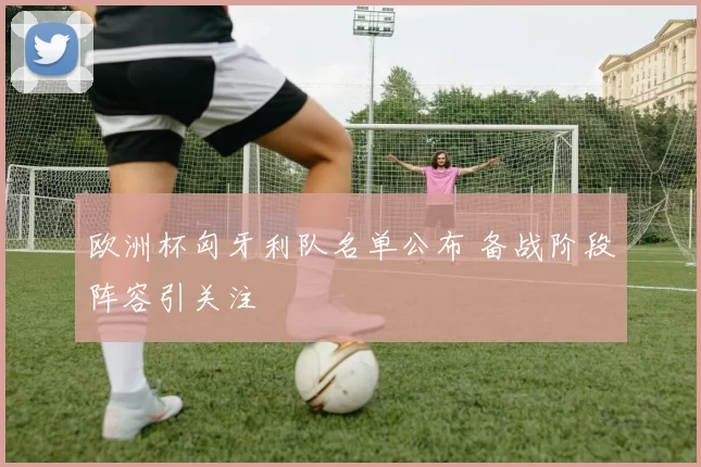 欧洲杯匈牙利队名单公布 备战阶段阵容引关注
