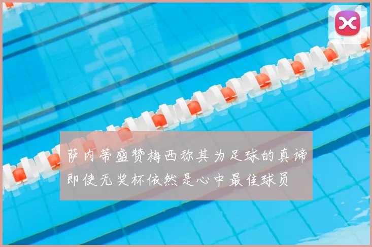 萨内蒂盛赞梅西称其为足球的真谛即使无奖杯依然是心中最佳球员